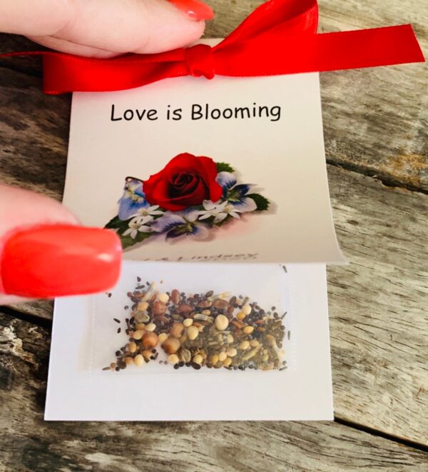 Red Rose Design w/ Wildflower Seed Packets for Bridal Shower Wedding Flower Seeds Party Favors SALE CIJ Christmas in July - Image 6
